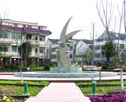 崇明天气预报60天