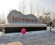 绥化天气预报15天