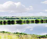 肇州天气预报40天