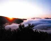 鸡东天气预报40天