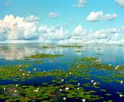 宝清天气预报40天