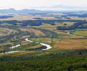 饶河天气预报60天