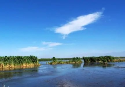 博湖天气预报30天