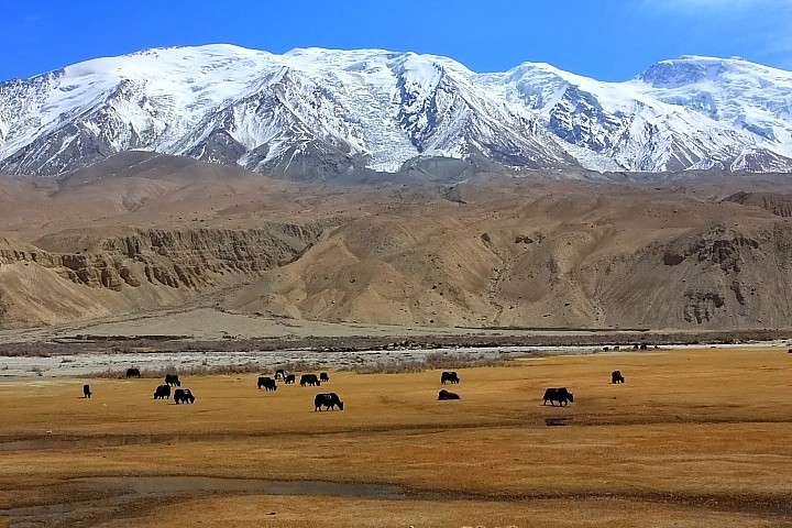 塔什库尔干天气预报15天