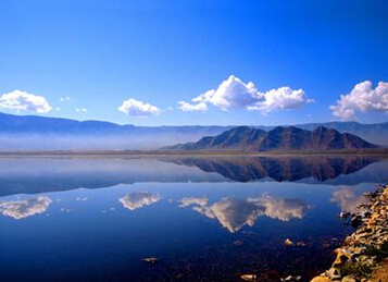 疏勒天气预报15天