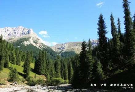 察布查尔天气预报15天