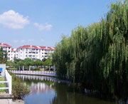 裕民天气预报15天