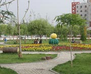 和田天气预报15天