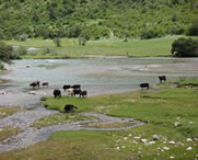 加查天气预报60天