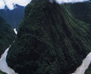 米林天气预报40天