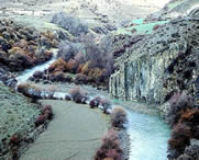 边坝天气预报60天