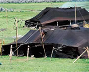 左贡天气预报60天