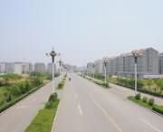 郸城天气预报40天