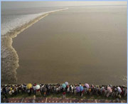 海宁天气预报15天