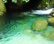 独山天气预报40天