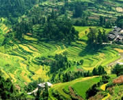 思南天气预报40天