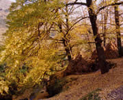 盘县天气预报60天