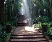 彭山天气预报7天