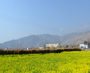 越西天气预报7天