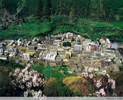 九龙天气预报7天