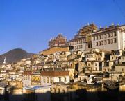 香格里拉天气预报7天